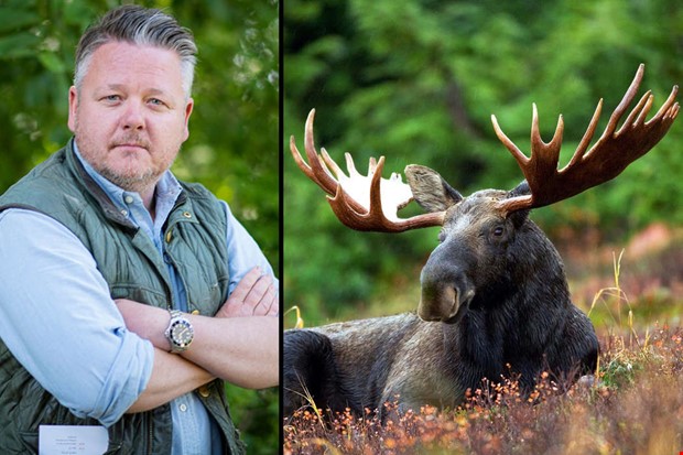 Debatt: Konsten att komma verens med lgen