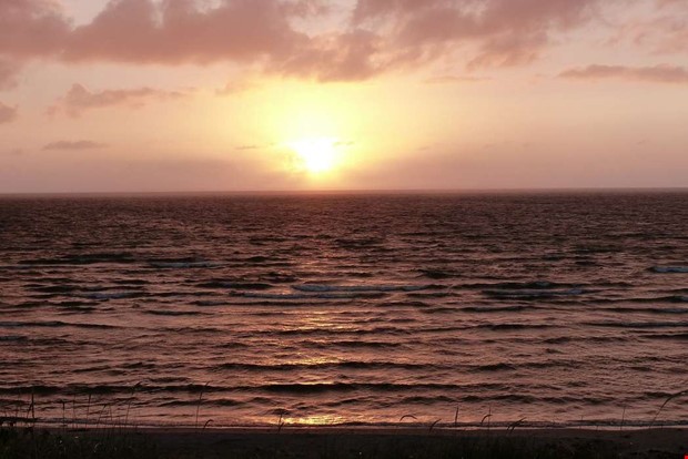 Krislge fr havsmiljn  fisket kan begrnsas mer