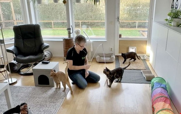 TV: Nominerad till Årets eldsjäl - Karin Sundgren TV: Nominerad till Årets eldsjäl - Karin Sundgren