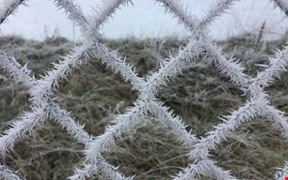 Bakslag f�r v�ren � d� blir det minusgrader i Kungsbacka