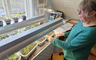 S� lyckas du med dina odlingar i sommar