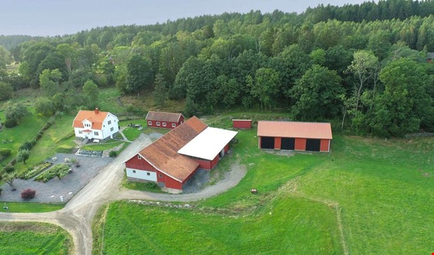 I topp: G�rd med renoverat hus vid Lygnern 