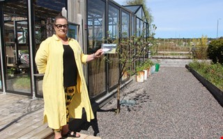 Trdgrdsdesignern Anette skapade grn oas p liten yta 