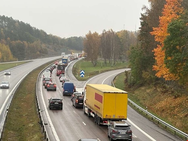 Tr�d kan orsaka trafikstopp p� E6