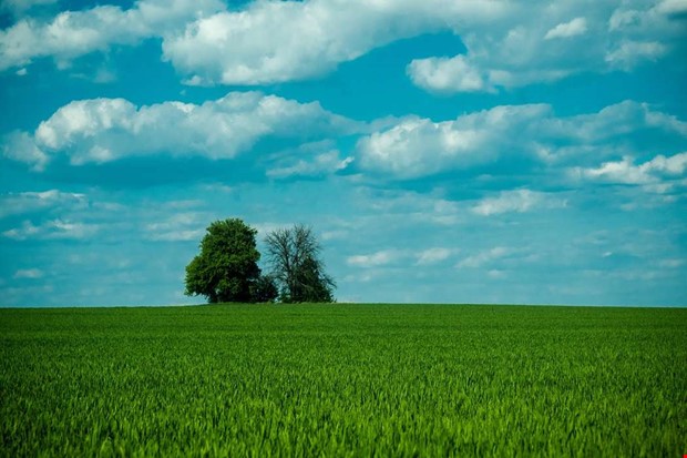 Debatt: Spkplaner hotar rttsskerheten 