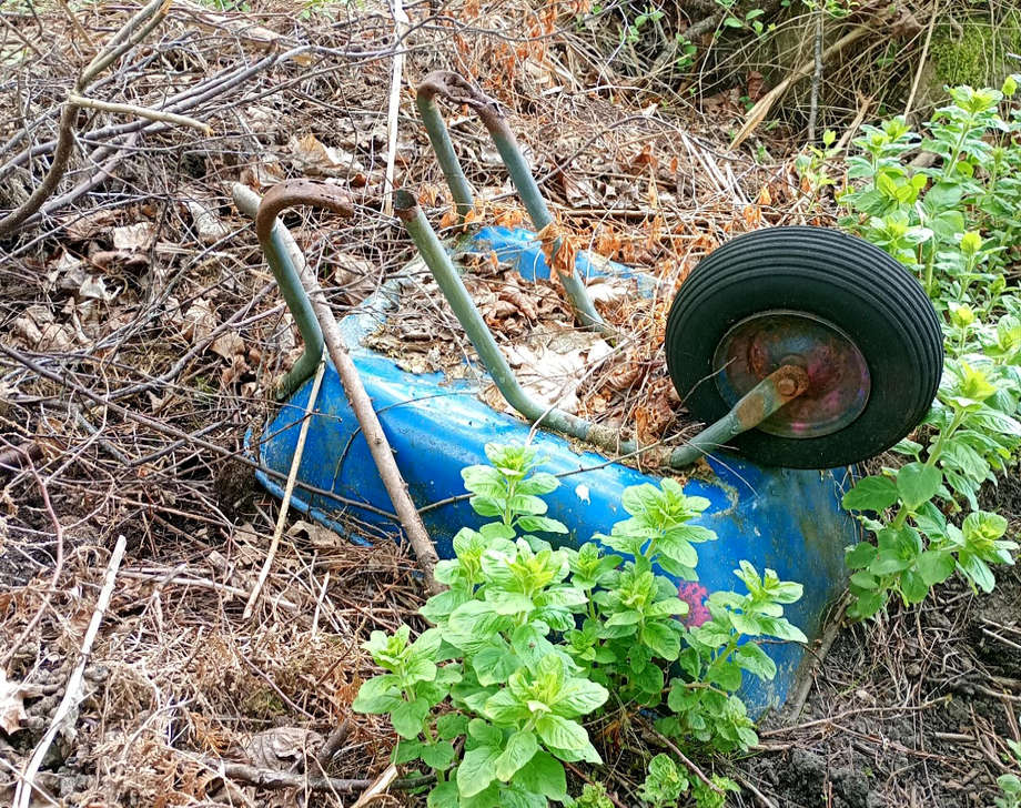 Trädgårdsavfallsproblemet eskalerar: Husägare anmäler dumpning – vad du behöver veta!