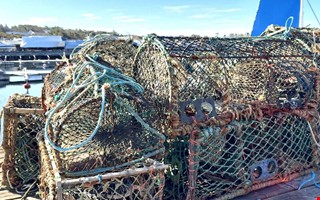 Lyckat projekt � d�dsf�llor tas upp fr�n botten 