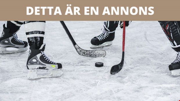 SHL 2025 - kan favoriterna försvara sitt guld enligt experterna? SHL 2025 - kan favoriterna försvara sitt guld enligt experterna?