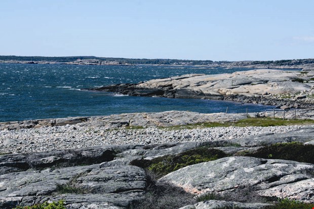 Debatt: Ge Åsa en blomstrande framtid Debatt: Ge Åsa en blomstrande framtid