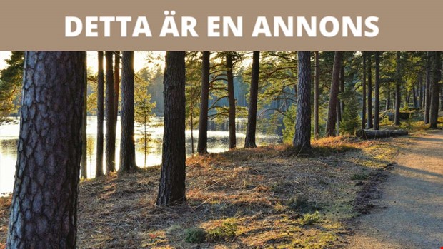 Hur Hallands Turism Fr�mjar Virtuella �ventyr