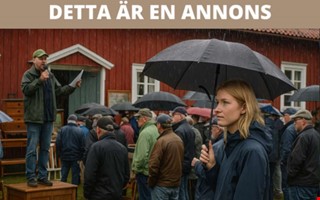 Loppisar och auktioner  r de egentligen vrda besvret?