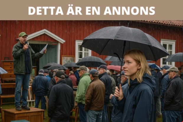 Loppisar och auktioner  r de egentligen vrda besvret?
