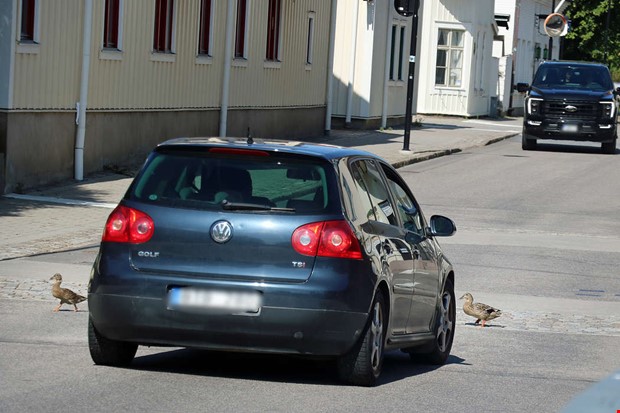 De s-änder rätt signaler när de tar sig fram i Kungsbacka