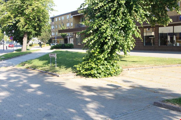 Åtgärder krävs – kvinna slog sig blodig under promenad Åtgärder krävs – kvinna slog sig blodig under promenad