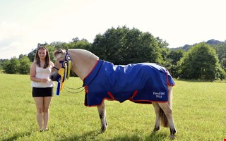 Hjrtehsten som tog familjen till SM-guld