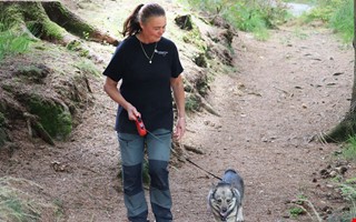 Fullt upp fr Miriam p hundpensionatet: 