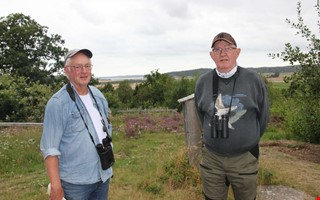 De har r�ddat pilgrimsfalken i 50 �r � nu hotad igen