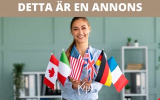 Finns utlndska casinon med BankID vid inloggning?