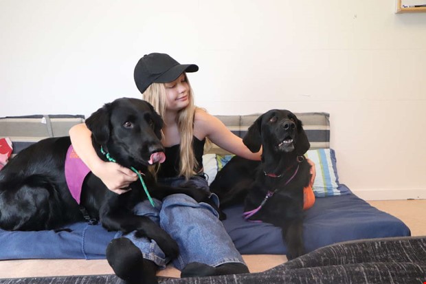 Hundarna Märta och Axel får elever tillbaka till skolan Hundarna Märta och Axel får elever tillbaka till skolan