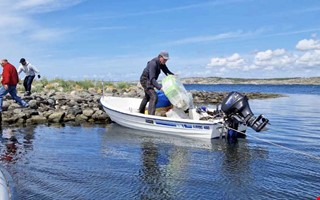 Ola k�mpar f�r plastfri v�stkust: 