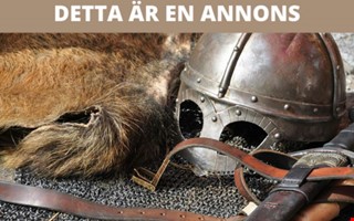 Hur pverkade vikingakulturen spelscenariot i Sverige?