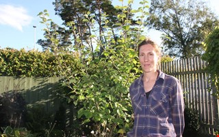 Från grafisk designer till trädgårdsmästare