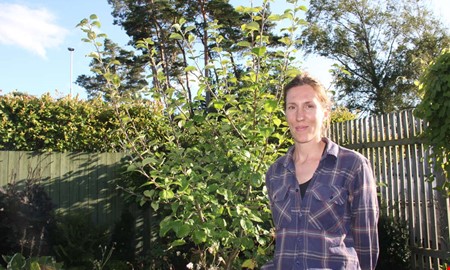 Från grafisk designer till trädgårdsmästare