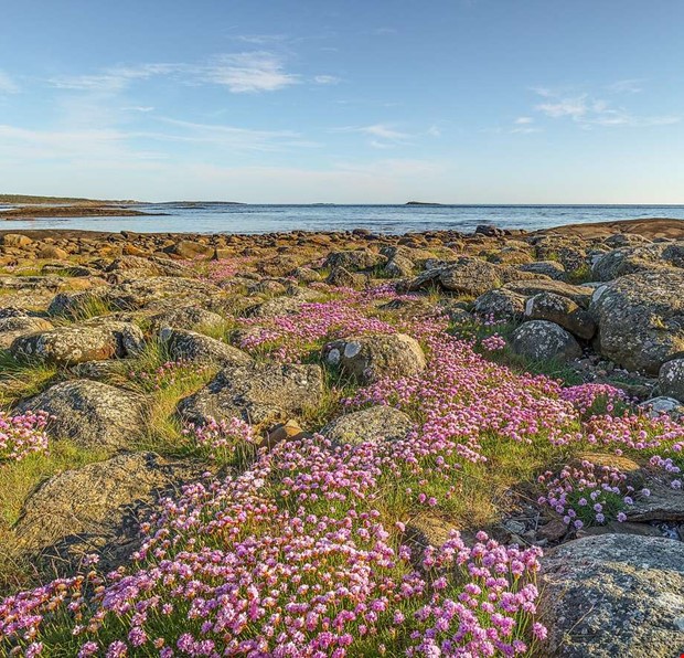 Debatt: Ny frnybar kraft behver byggas ut 