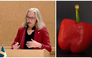 Losman gav Hansson lektion om kryddor och paprika