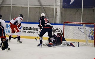 Nykomlingen s�nkte Hanhals: 