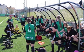 Beskedet: Freningen satsar p damlag igen