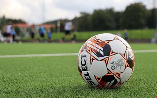 Frbundskaptenen sparkas efter fiaskot 