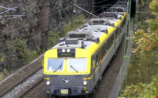 Debatt: Miljpartiet har kollektiv minnesfrlust 