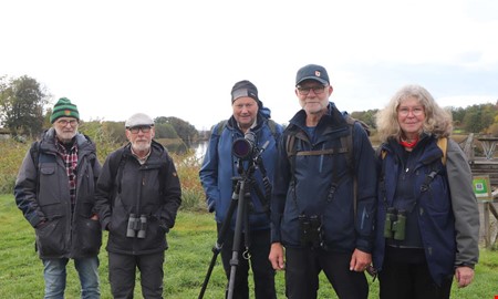 De har rknat fglar i 40 r: 