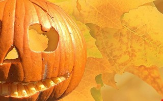 Debatt: Bus eller godis p rtt dag 