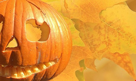 Debatt: Bus eller godis p rtt dag 