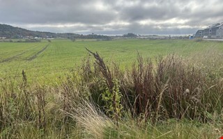 S ser planerna ut fr nya idrottsomrdet 