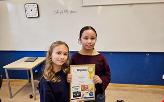 De ritade vinnande bidraget  vann snacks till hela klassen