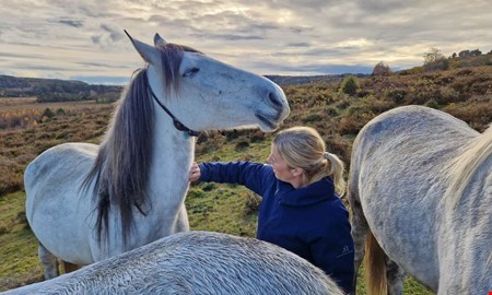 Hstflock anvnds fr att bttre bevara naturen