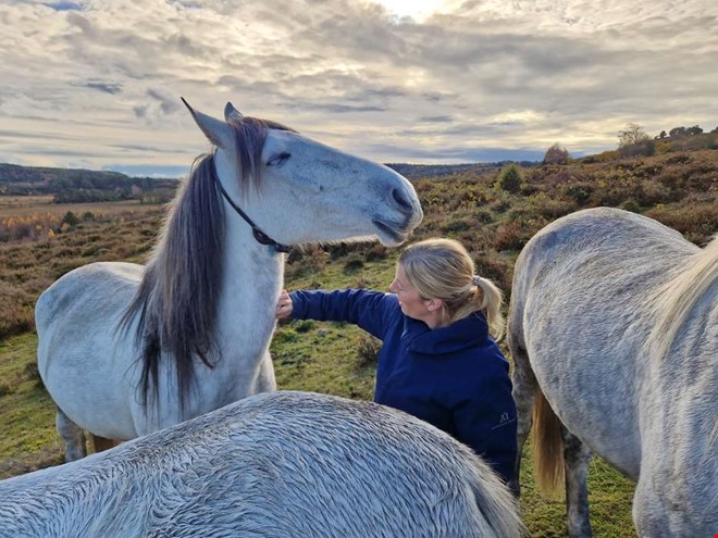 Hstflock anvnds fr att bttre bevara naturen