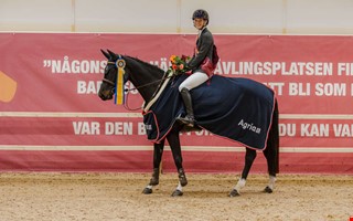 Slog till p stortvlingen och skakade ikonen 