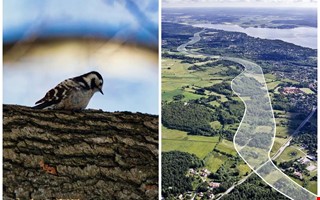 70 r av planering och strider bakom jtteprojektet