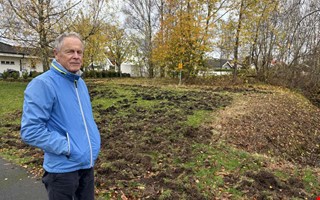 Vildsvin hrjar  lekplats och fotbollsplan drabbade