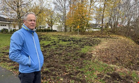 Vildsvin hrjar  lekplats och fotbollsplan drabbade