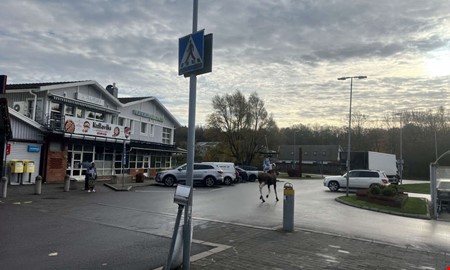 Udda scenen: Se lgen mitt i Kullavik centrum