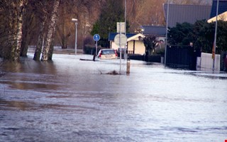 Samordnare ska ha koll på översvämningar