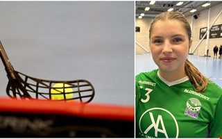 Sporten i korthet