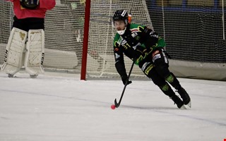 Kuggen efter lkarbeskedet: Tur i oturen 