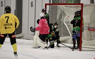 Kritiken efter tappet p hemmaplan: 