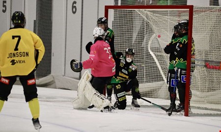 Kritiken efter tappet p hemmaplan: 